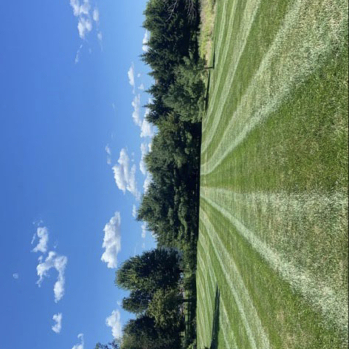Lawn Care