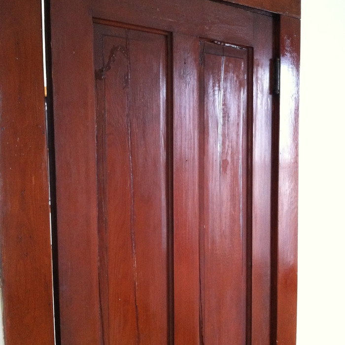 Door Repair/Refinish