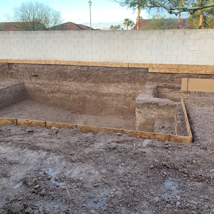 Backyard before