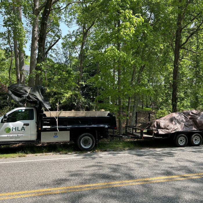 Tree delivered and installation