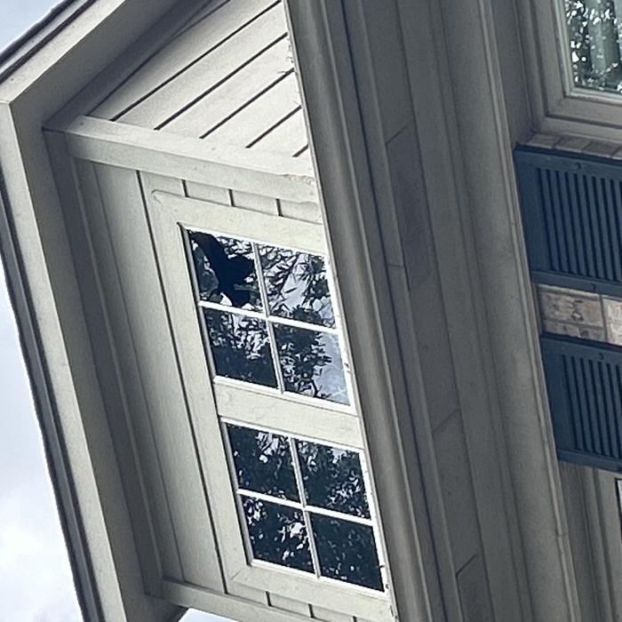 Residential single pane
