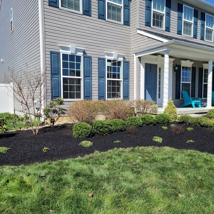 Cleanup / Mulching