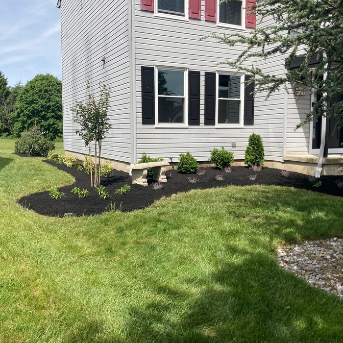 Design / Planting / Mulching