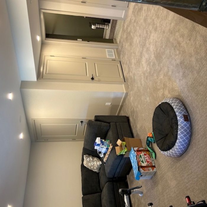 Basement Remodel