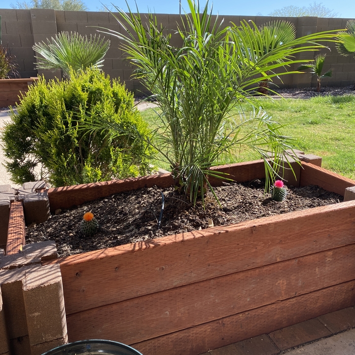 Small Planter