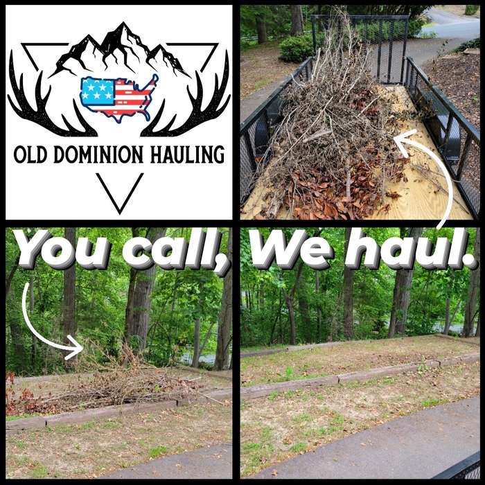 Yard Debris Removal Haul