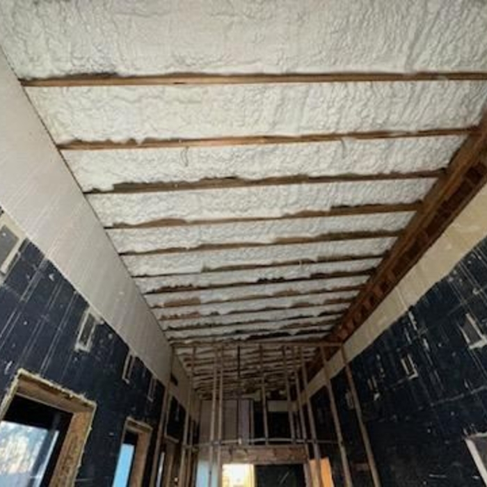 Open-Cell Spray Foam - Ceiling