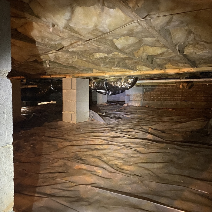 Crawl Space - Before