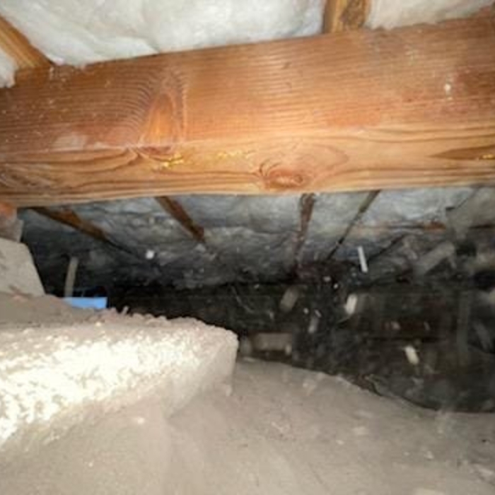 Insulation Replacement