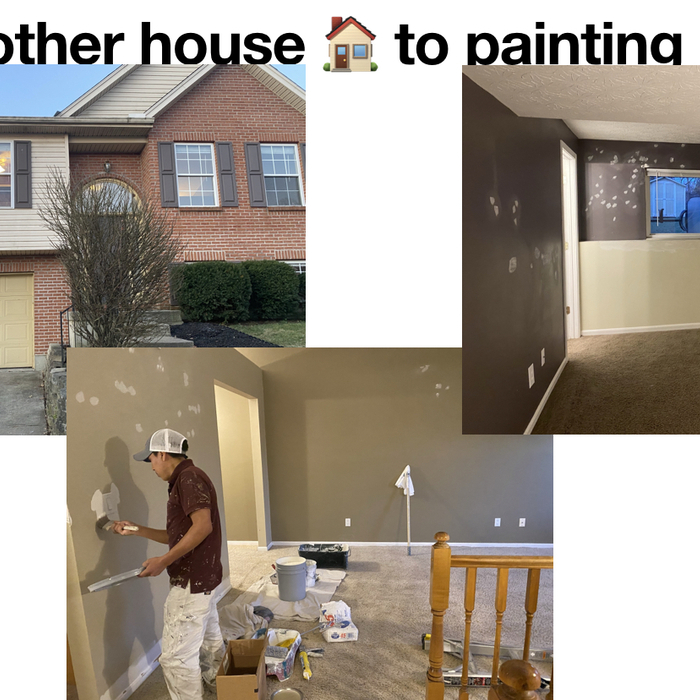 Paint