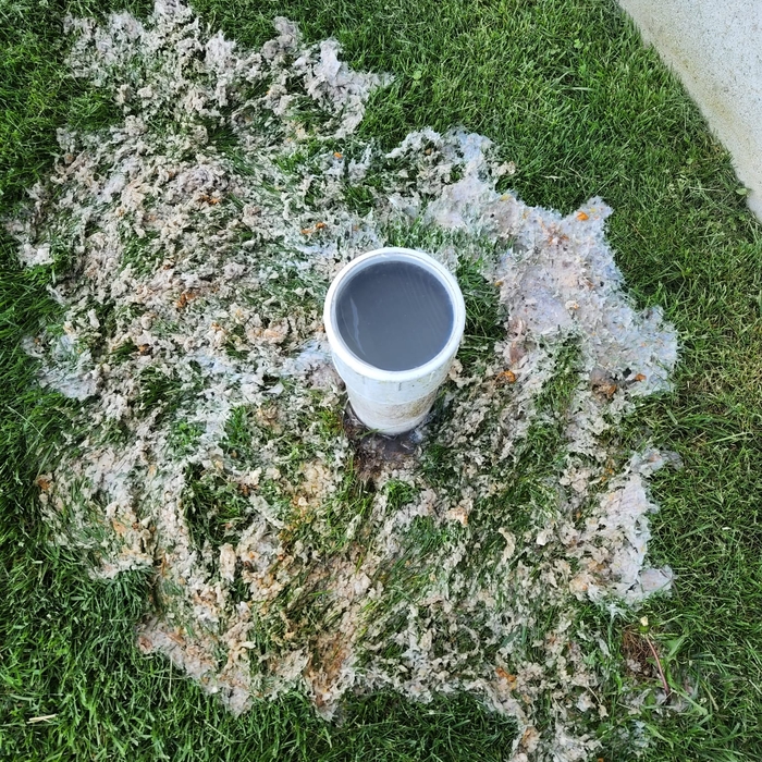 cleanup pipe