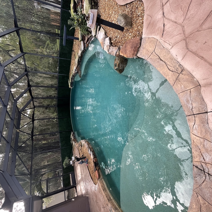 Pool Service/Maintenance