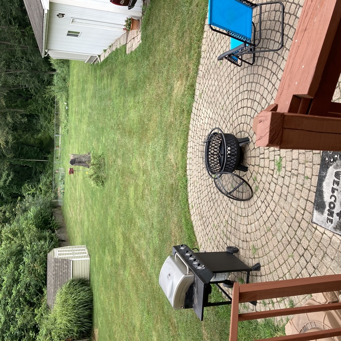 Mowed and Trimmed