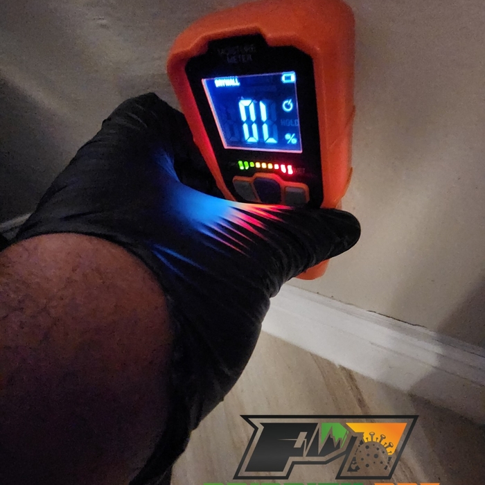 Moisture Meter