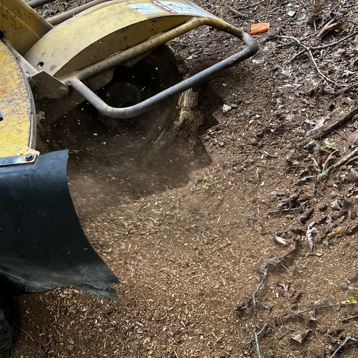 Stump removal