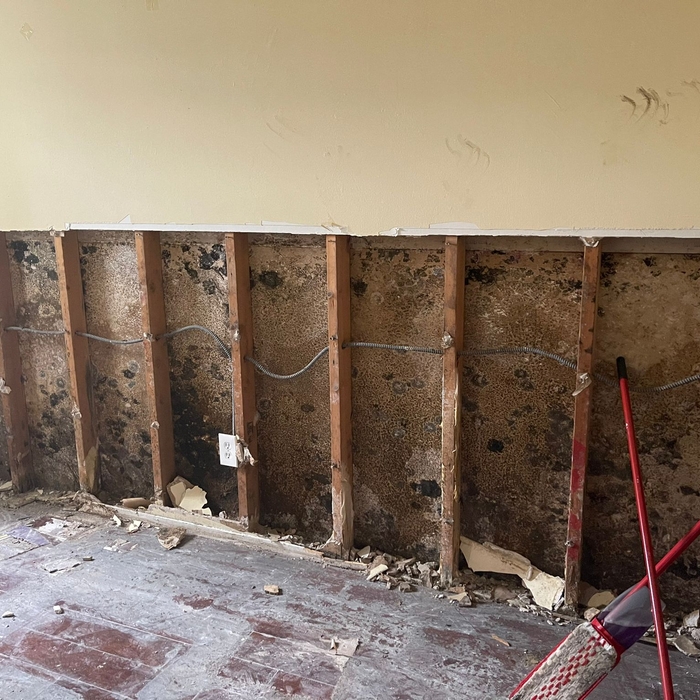 mold removal
