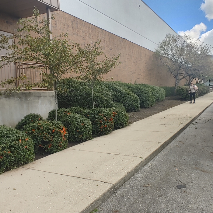 COMMERCIAL LANDSCAPE MAINTENANCE