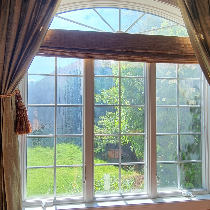 Window Washing Service