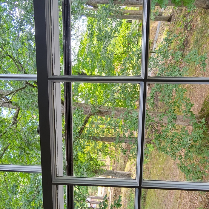 Window Cleaning Service