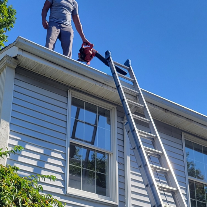 Gutter Cleaning