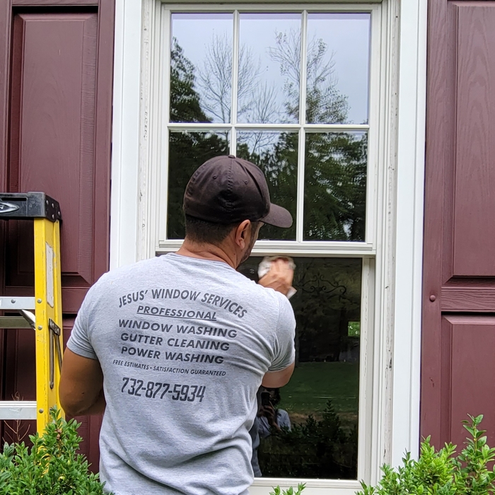Window Washing Service