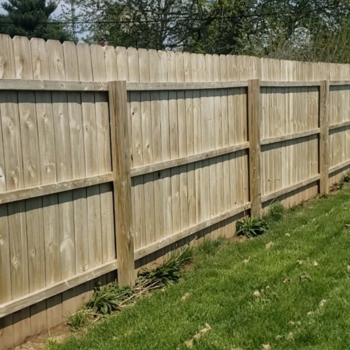 McGill- Fence After