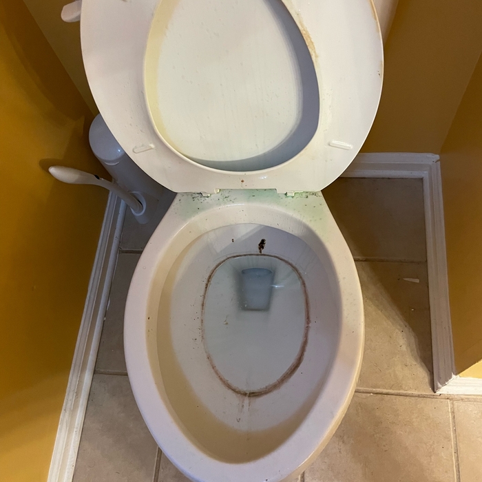 Bathroom Toilet