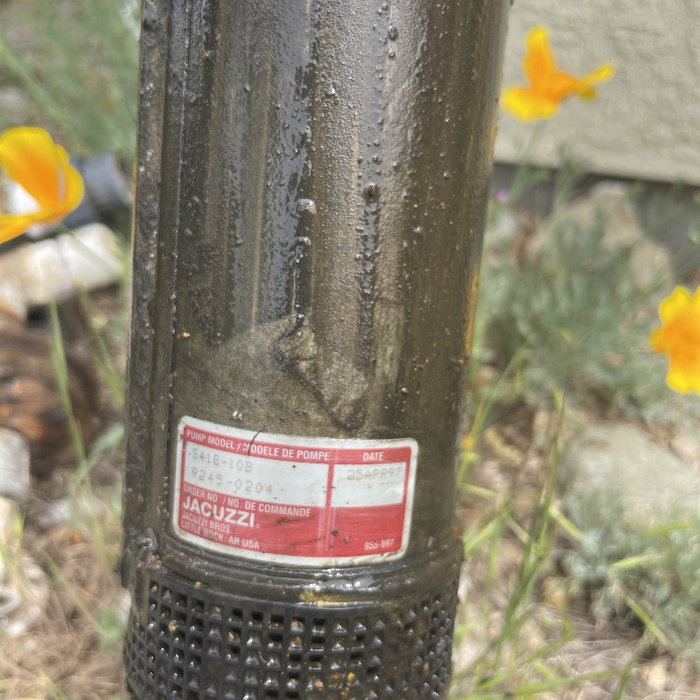 25 Year Old Pump