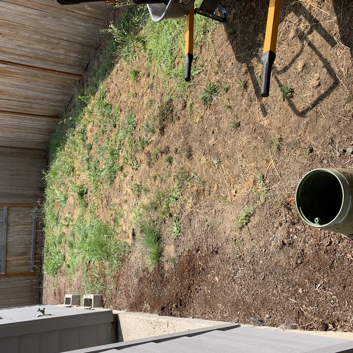 Backyard before paver install