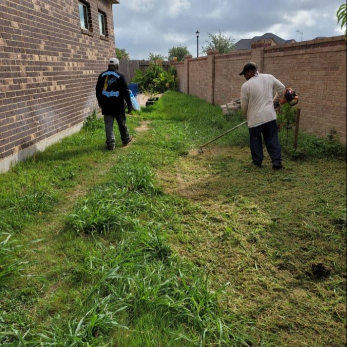 Landscaping