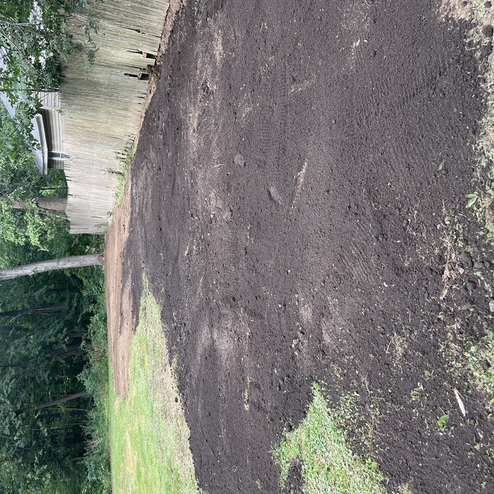 Like the stumps were never even there