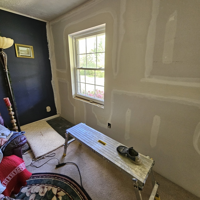 Termite damage