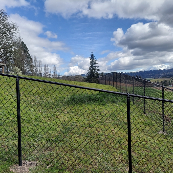 Black Chain Link Fence