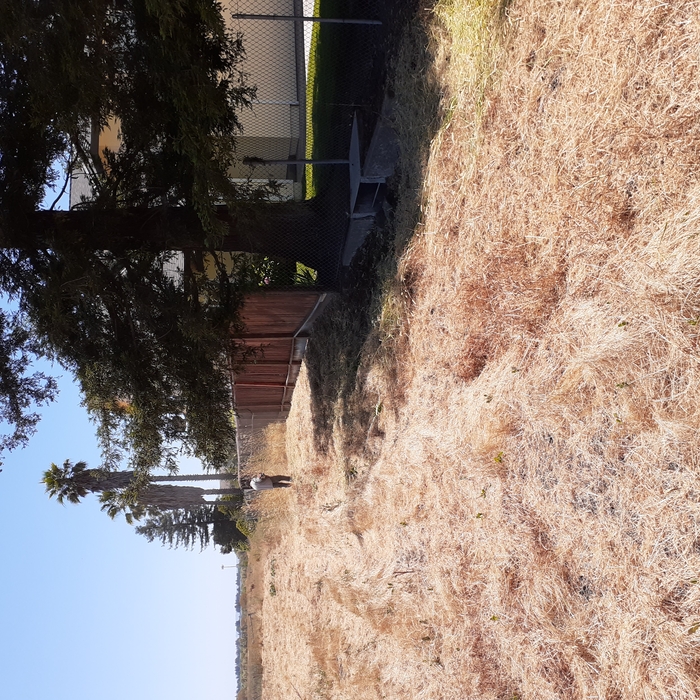 weed whacking