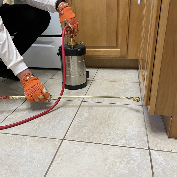 Interior Baseboard Treatment