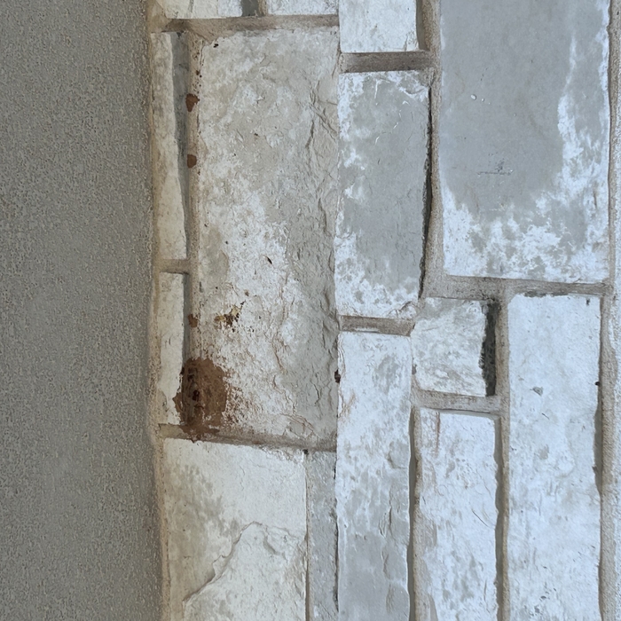 Mud Dauber Nest After
