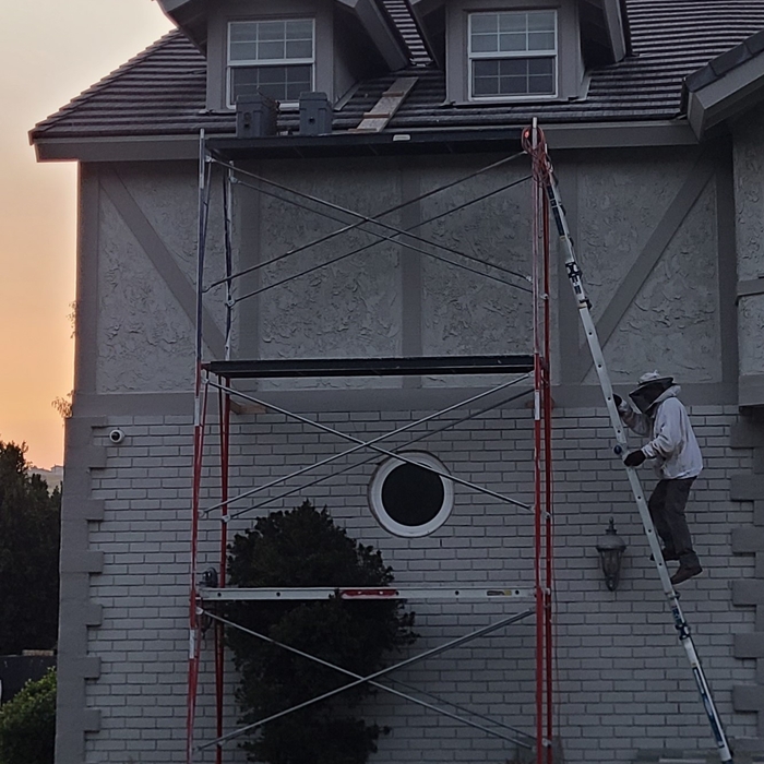 Beehive removal