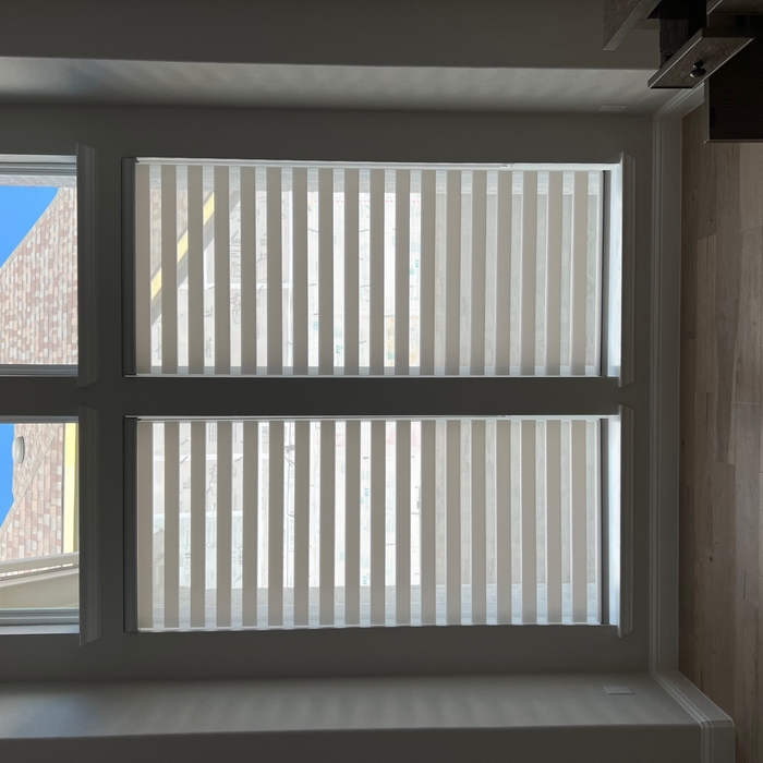 Light Filtering Zebra Roller Shade