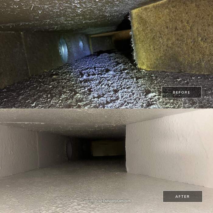 Before and After