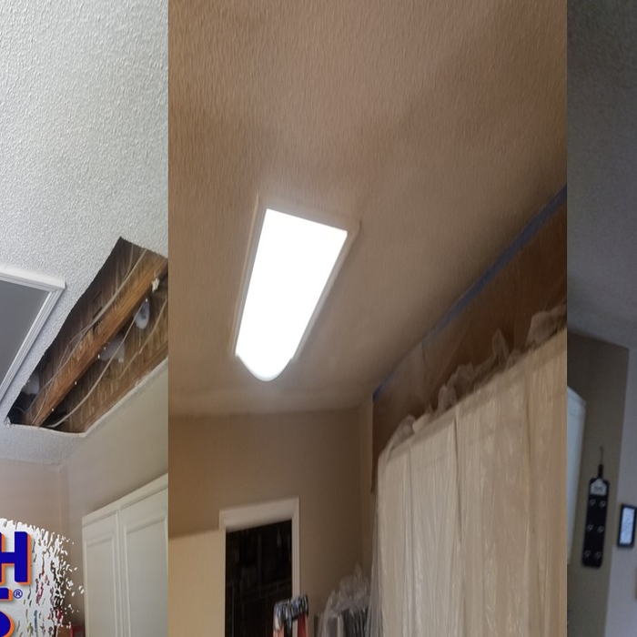 Ceiling Repair
