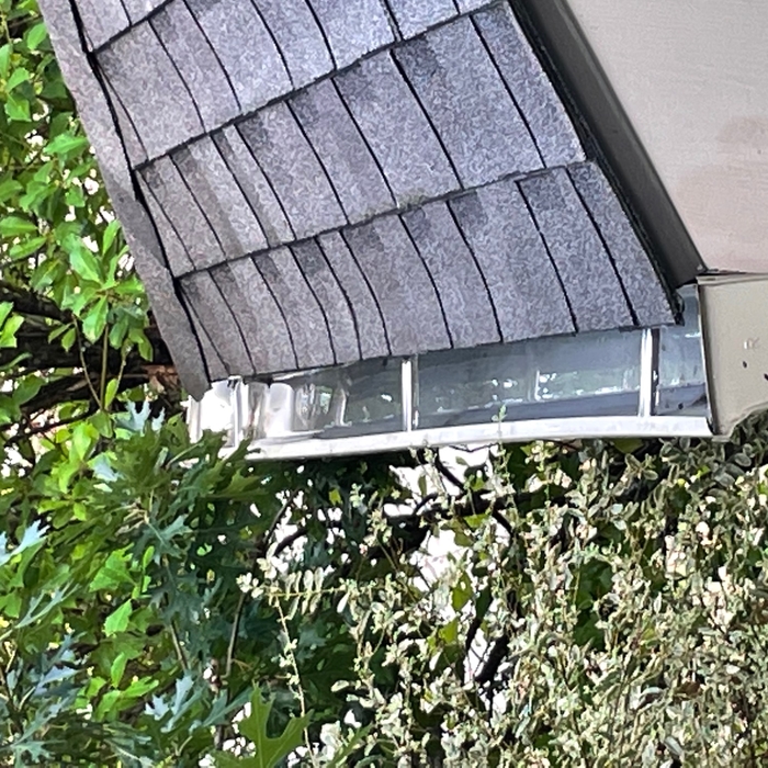 Gutter Cleaning