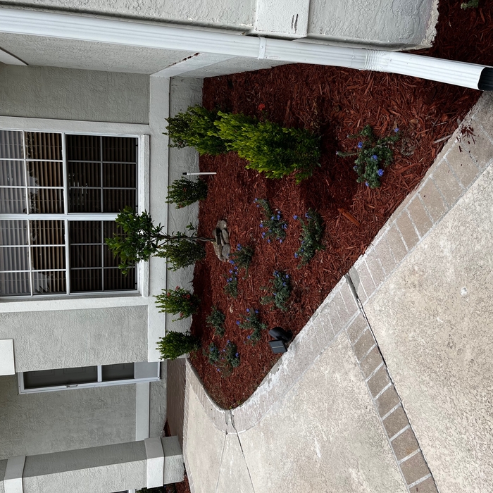 Landscape Design