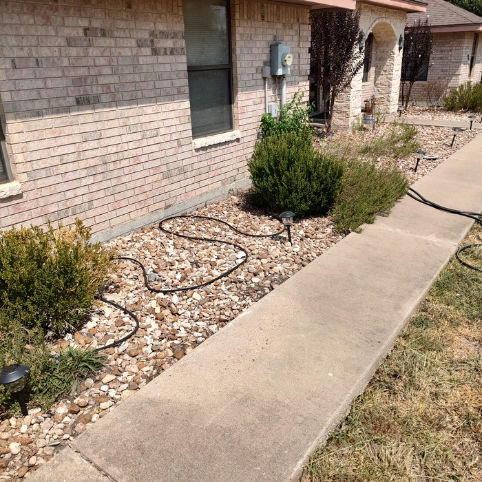 After Weed Removal