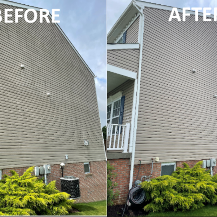 Soft Washing Removal of Black Mold