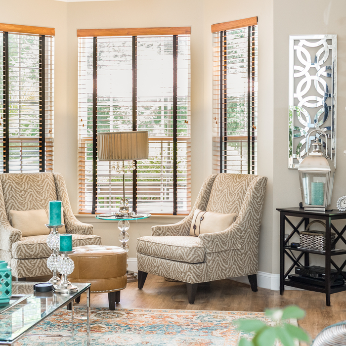 Transitiona/Glam Living Room