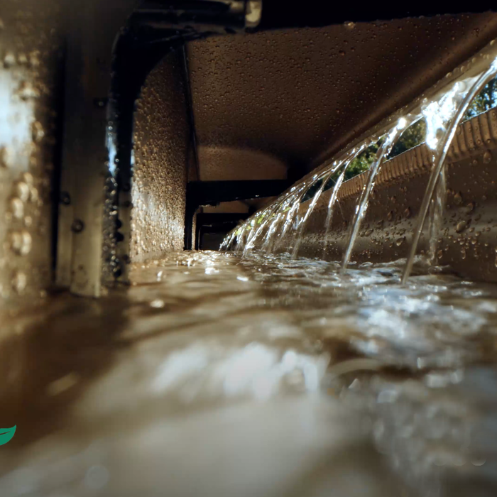 Gutter Interior