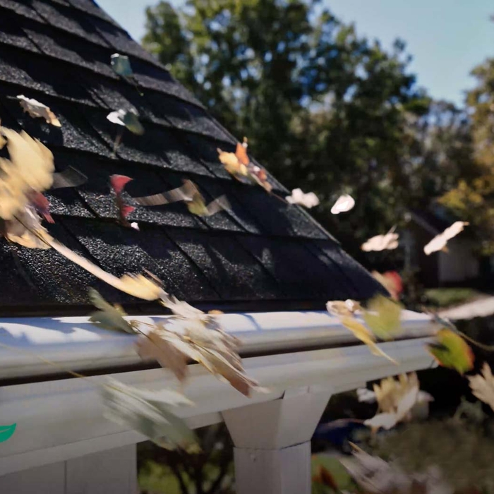 Leaves unable to enter gutter