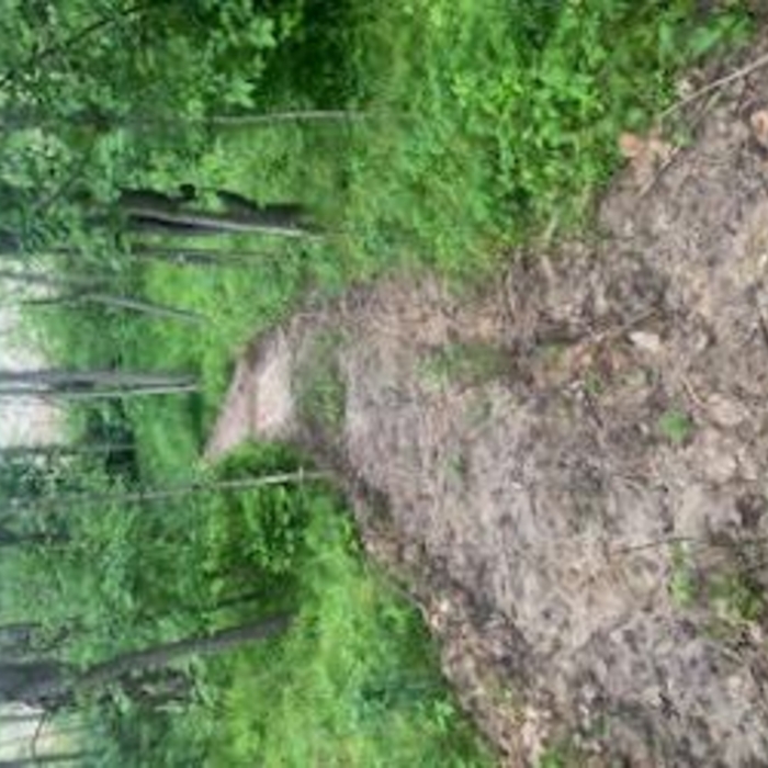 trail