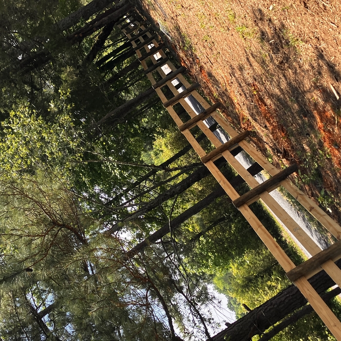 Fence
