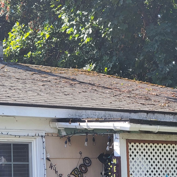 Heavy Moss removal